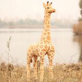 Plyšová stojící žirafa 46 cm