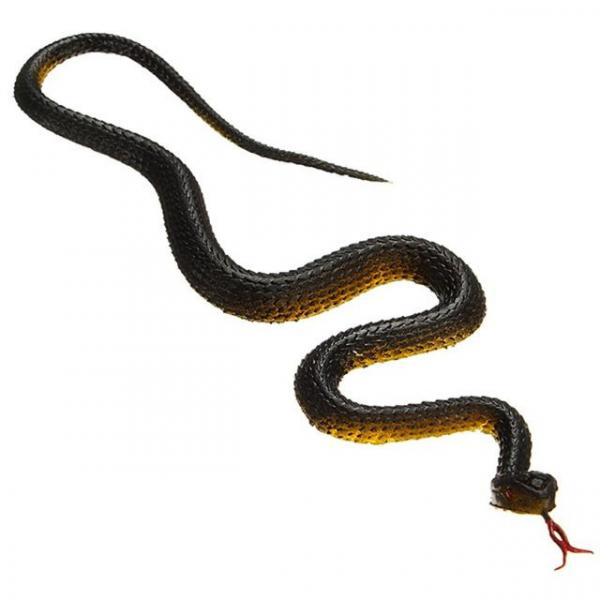 Levně Malý gumený had